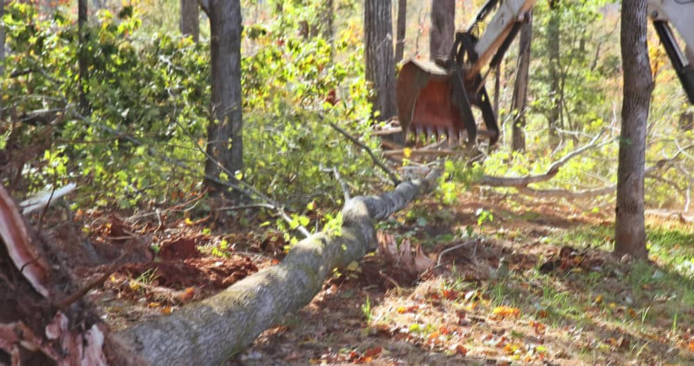 Professional forestry mulching service by Columbia Land Clearing equipment team