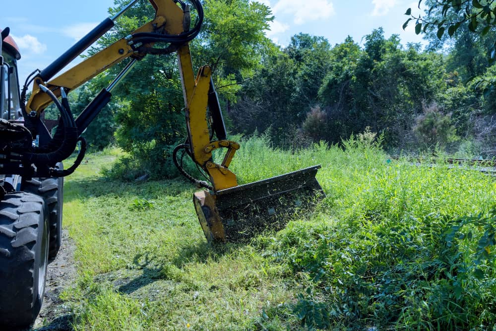 Professional site clearing operations by Columbia Land Clearing team