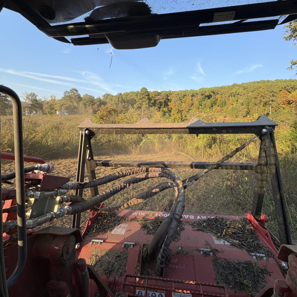 Brush removal with a skid steer