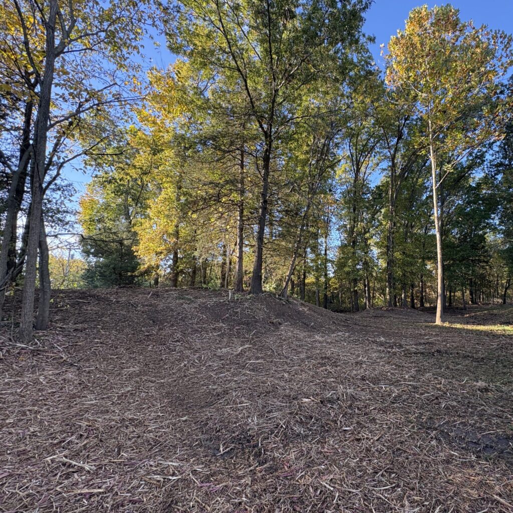 Property after Columbia Land Clearing's forestry mulching services