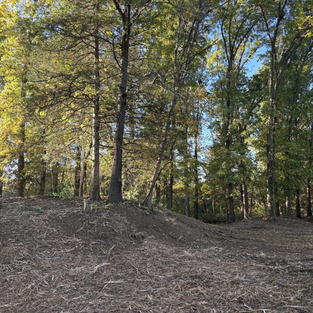 Property after Columbia Land Clearing's forestry mulching services