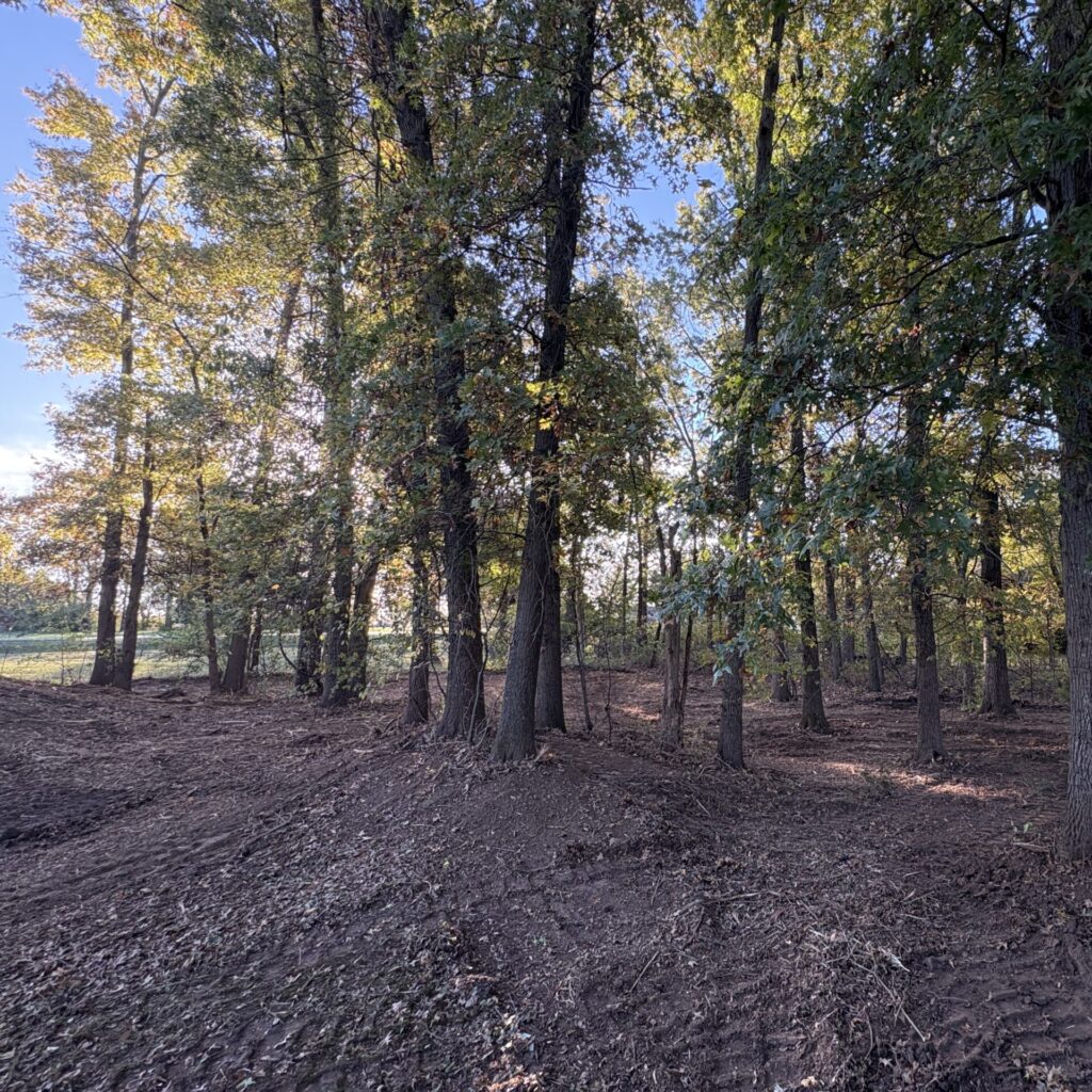 Property after Columbia Land Clearing's forestry mulching services