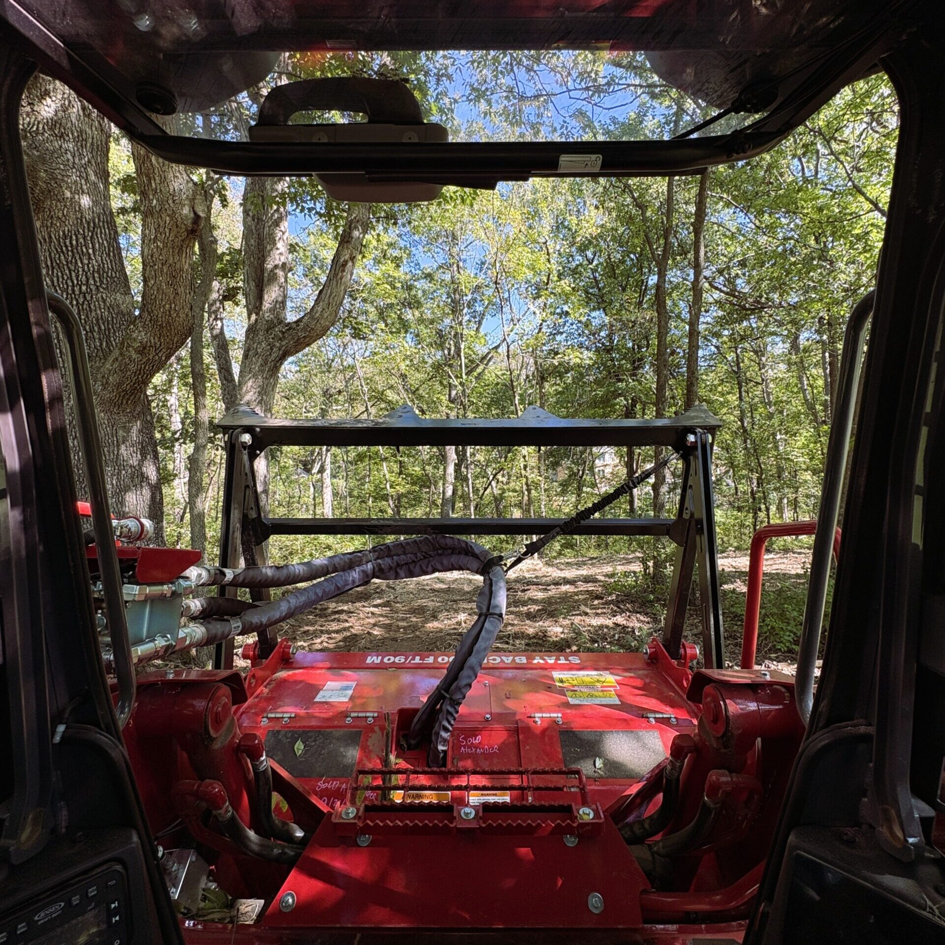 Tree Removal