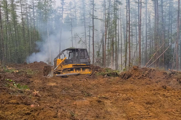 Efficient land clearing solutions provided by Columbia Land Clearing experts