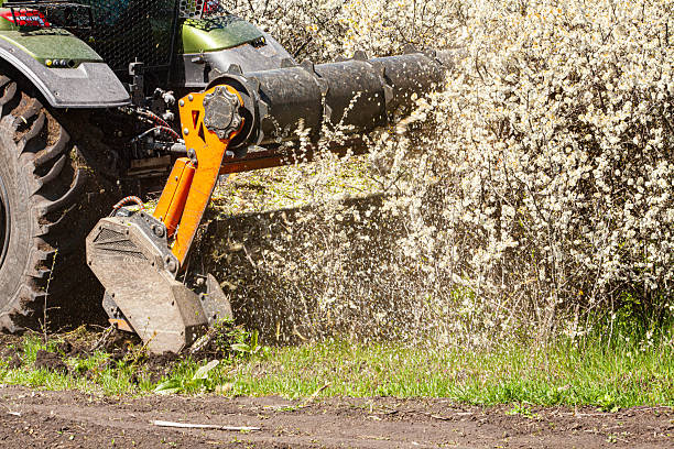 Forestry mulching service for clearing rural and wooded areas