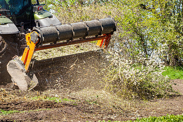 Columbia Land Clearing performing vegetation control with mulching