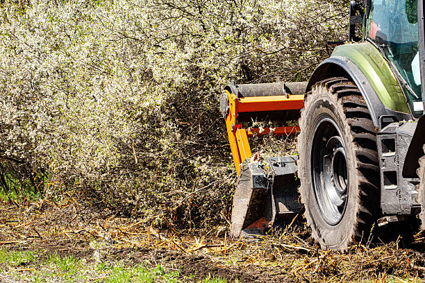 Columbia Land Clearing preparing property using forestry mulching